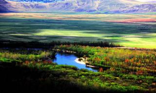 额尔古纳乐队鸿雁 额尔古纳乐队鸿雁