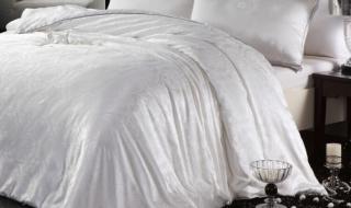 好的蚕丝被多少钱一斤 好的蚕丝被多少钱一斤