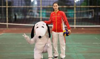 里约奥运会女排阵容